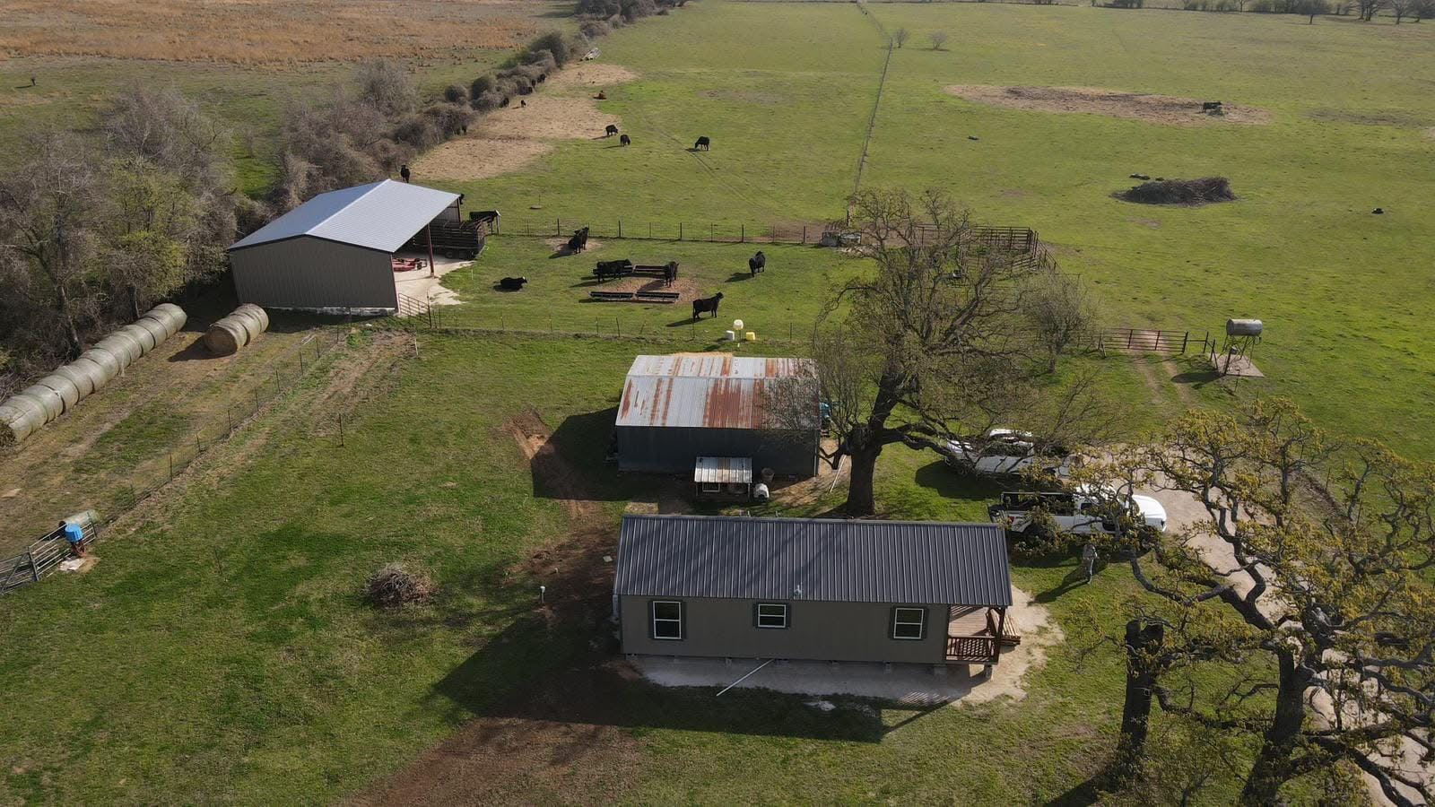 Loafing Sheds for Cattle: Strength Your Herd Can Rely On